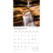 The Majesty of New England | 2026 12 x 24 Inch (Hanging) Monthly Square Wall Calendar | Plastic-Free